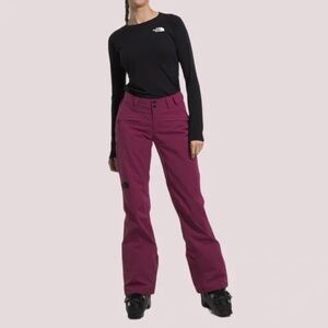 The North Face Freedom Stretch Ski Pants